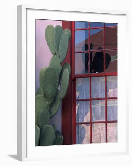 Cactus and Window, Barrio District, Tucson, Arizona, USA-Joanne Wells-Framed Photographic Print