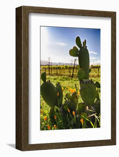 Cactus And Yellow Poppies-George Oze-Framed Photographic Print