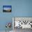 Cactus Arrow on Isla de Los Pescadores, Volcan Tunupa and Salt Flats, Salar de Uyuni, Bolivia-Simon Montgomery-Framed Premier Image Canvas displayed on a wall