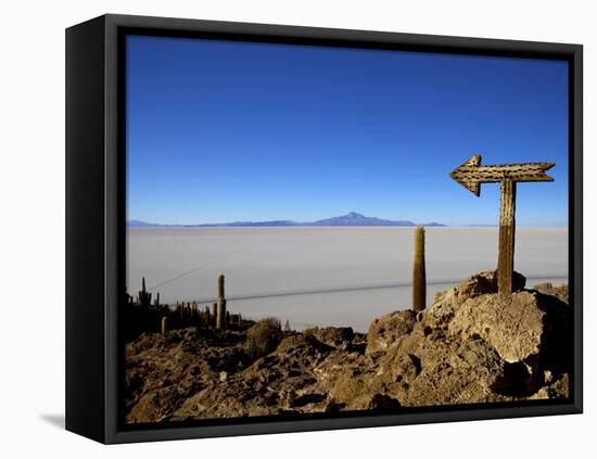 Cactus Arrow on Isla de Los Pescadores, Volcan Tunupa and Salt Flats, Salar de Uyuni, Bolivia-Simon Montgomery-Framed Premier Image Canvas