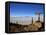 Cactus Arrow on Isla de Los Pescadores, Volcan Tunupa and Salt Flats, Salar de Uyuni, Bolivia-Simon Montgomery-Framed Premier Image Canvas