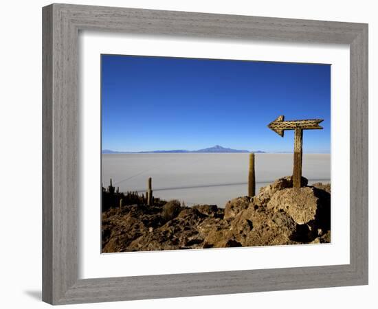 Cactus Arrow on Isla de Los Pescadores, Volcan Tunupa and Salt Flats, Salar de Uyuni, Bolivia-Simon Montgomery-Framed Photographic Print