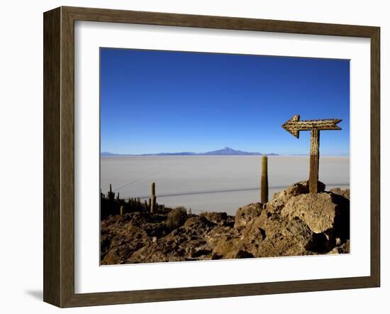 Cactus Arrow on Isla de Los Pescadores, Volcan Tunupa and Salt Flats, Salar de Uyuni, Bolivia-Simon Montgomery-Framed Photographic Print