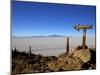 Cactus Arrow on Isla de Los Pescadores, Volcan Tunupa and Salt Flats, Salar de Uyuni, Bolivia-Simon Montgomery-Mounted Photographic Print