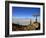 Cactus Arrow on Isla de Los Pescadores, Volcan Tunupa and Salt Flats, Salar de Uyuni, Bolivia-Simon Montgomery-Framed Photographic Print