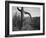 Cactus At Left And Surroundings "Saguaro National Monument" Arizona. 1933-1942-Ansel Adams-Framed Art Print