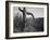 Cactus At Left And Surroundings "Saguaro National Monument" Arizona. 1933-1942-Ansel Adams-Framed Art Print