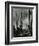 Cactus, Baja, California, 1968-Brett Weston-Framed Photographic Print