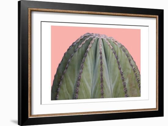 Cactus Ball-Sheldon Lewis-Framed Premium Giclee Print