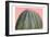 Cactus Ball-Sheldon Lewis-Framed Premium Giclee Print