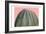 Cactus Ball-Sheldon Lewis-Framed Premium Giclee Print