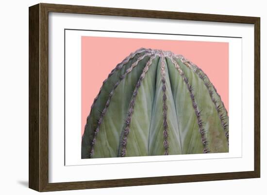 Cactus Ball-Sheldon Lewis-Framed Art Print