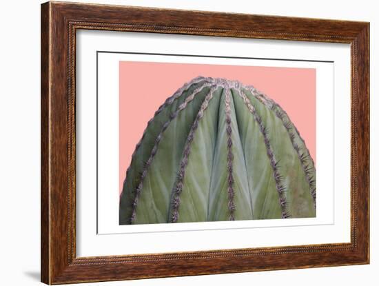 Cactus Ball-Sheldon Lewis-Framed Art Print