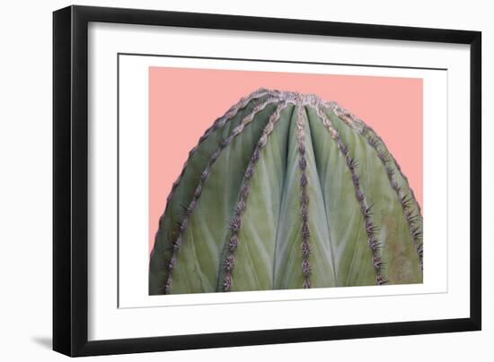 Cactus Ball-Sheldon Lewis-Framed Art Print