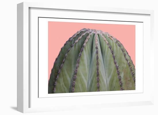 Cactus Ball-Sheldon Lewis-Framed Art Print