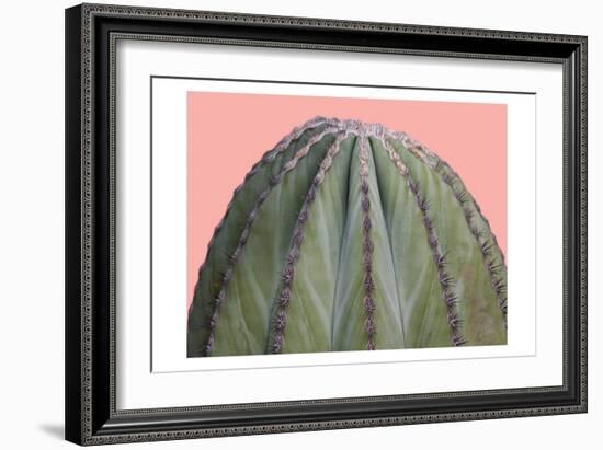 Cactus Ball-Sheldon Lewis-Framed Art Print