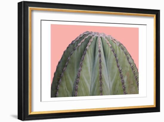 Cactus Ball-Sheldon Lewis-Framed Art Print