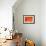 Cactus bees collecting pollen from Hedgehog cactus, USA-John Cancalosi-Framed Photographic Print displayed on a wall