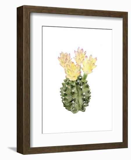 Cactus Bloom II-Grace Popp-Framed Art Print
