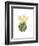 Cactus Bloom II-Grace Popp-Framed Art Print