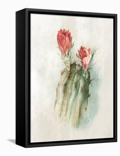 Cactus Bloom II-Alex Black-Framed Stretched Canvas