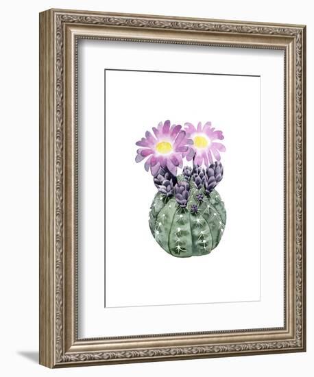 Cactus Bloom IV-Grace Popp-Framed Art Print