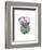 Cactus Bloom IV-Grace Popp-Framed Art Print