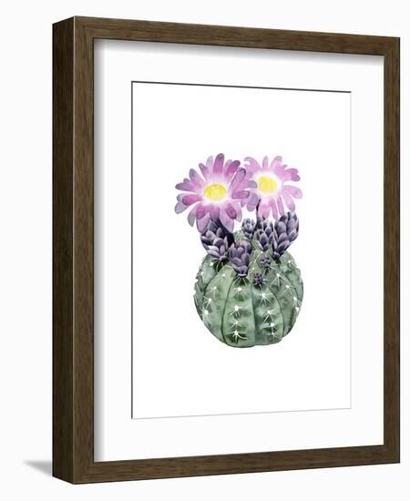 Cactus Bloom IV-Grace Popp-Framed Art Print