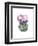 Cactus Bloom IV-Grace Popp-Framed Art Print