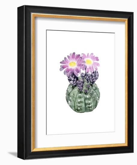 Cactus Bloom IV-Grace Popp-Framed Art Print