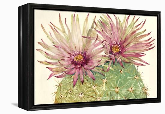 Cactus Blossoms I-Tim OToole-Framed Stretched Canvas