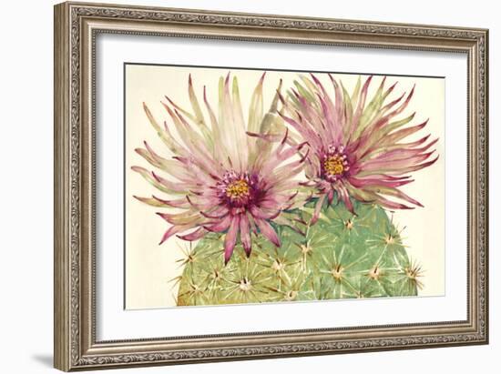 Cactus Blossoms I-Tim OToole-Framed Art Print