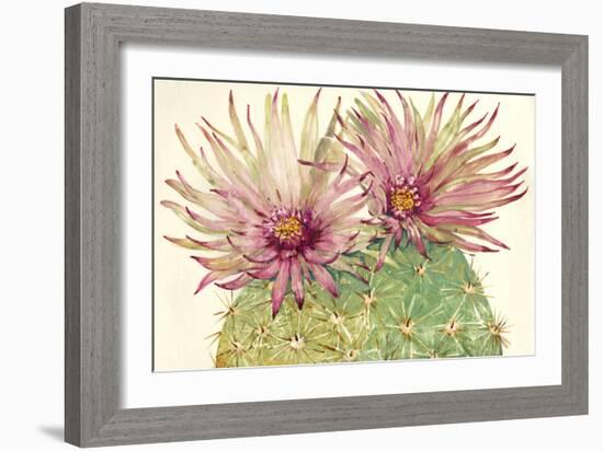 Cactus Blossoms I-Tim OToole-Framed Art Print