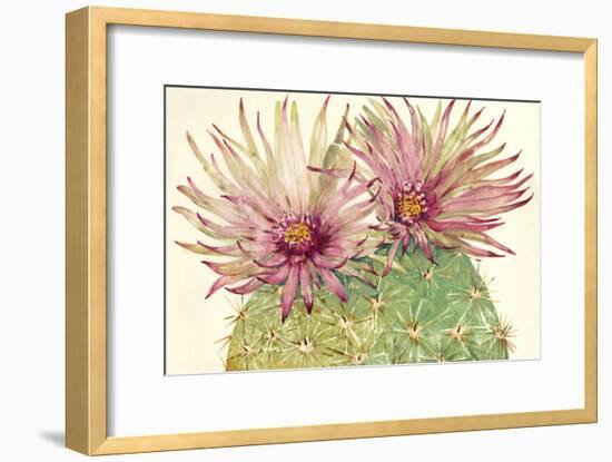 Cactus Blossoms I-Tim OToole-Framed Art Print