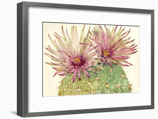 Cactus Blossoms I-Tim OToole-Framed Art Print