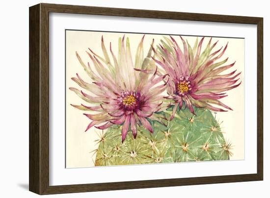 Cactus Blossoms I-Tim OToole-Framed Art Print