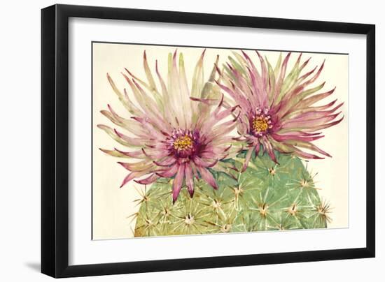 Cactus Blossoms I-Tim OToole-Framed Art Print