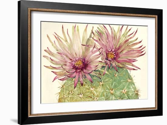 Cactus Blossoms I-Tim OToole-Framed Art Print