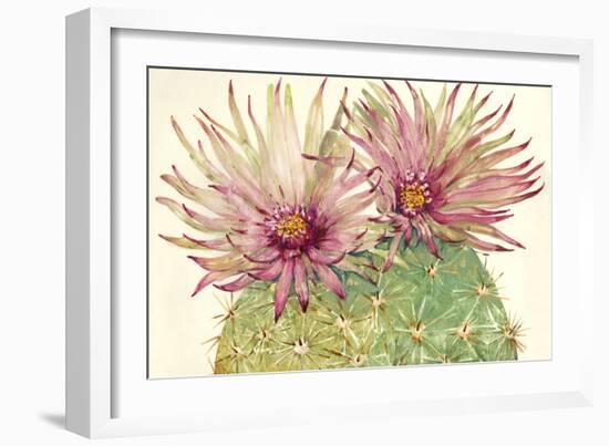 Cactus Blossoms I-Tim OToole-Framed Art Print