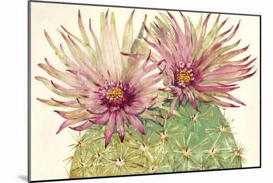 Cactus Blossoms I-Tim OToole-Mounted Art Print