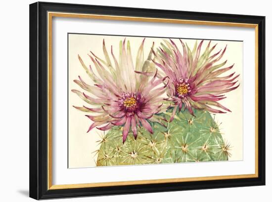 Cactus Blossoms I-Tim OToole-Framed Art Print