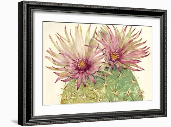 Cactus Blossoms I-Tim OToole-Framed Premium Giclee Print