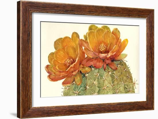 Cactus Blossoms II-Tim OToole-Framed Art Print