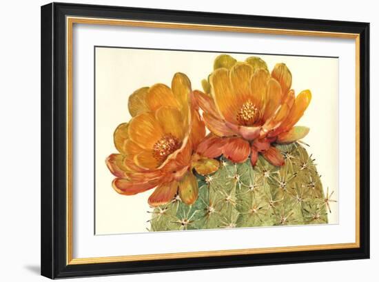 Cactus Blossoms II-Tim OToole-Framed Art Print