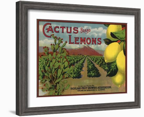 Cactus Brand - Highland, California - Citrus Crate Label-Lantern Press-Framed Art Print