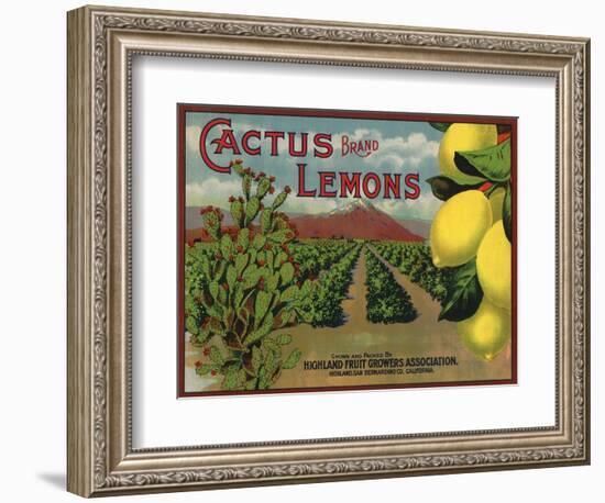 Cactus Brand - Highland, California - Citrus Crate Label-Lantern Press-Framed Art Print