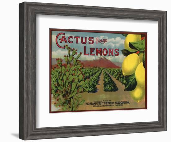 Cactus Brand - Highland, California - Citrus Crate Label-Lantern Press-Framed Art Print