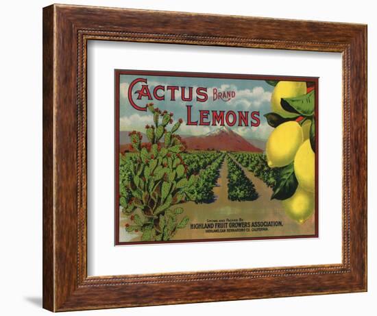 Cactus Brand - Highland, California - Citrus Crate Label-Lantern Press-Framed Art Print