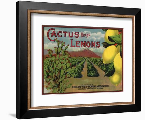 Cactus Brand - Highland, California - Citrus Crate Label-Lantern Press-Framed Art Print