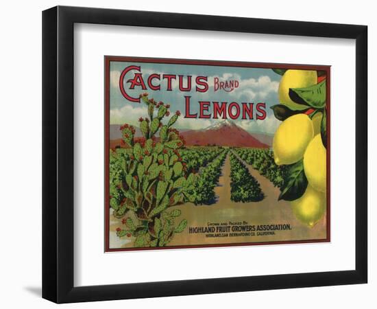 Cactus Brand - Highland, California - Citrus Crate Label-Lantern Press-Framed Art Print